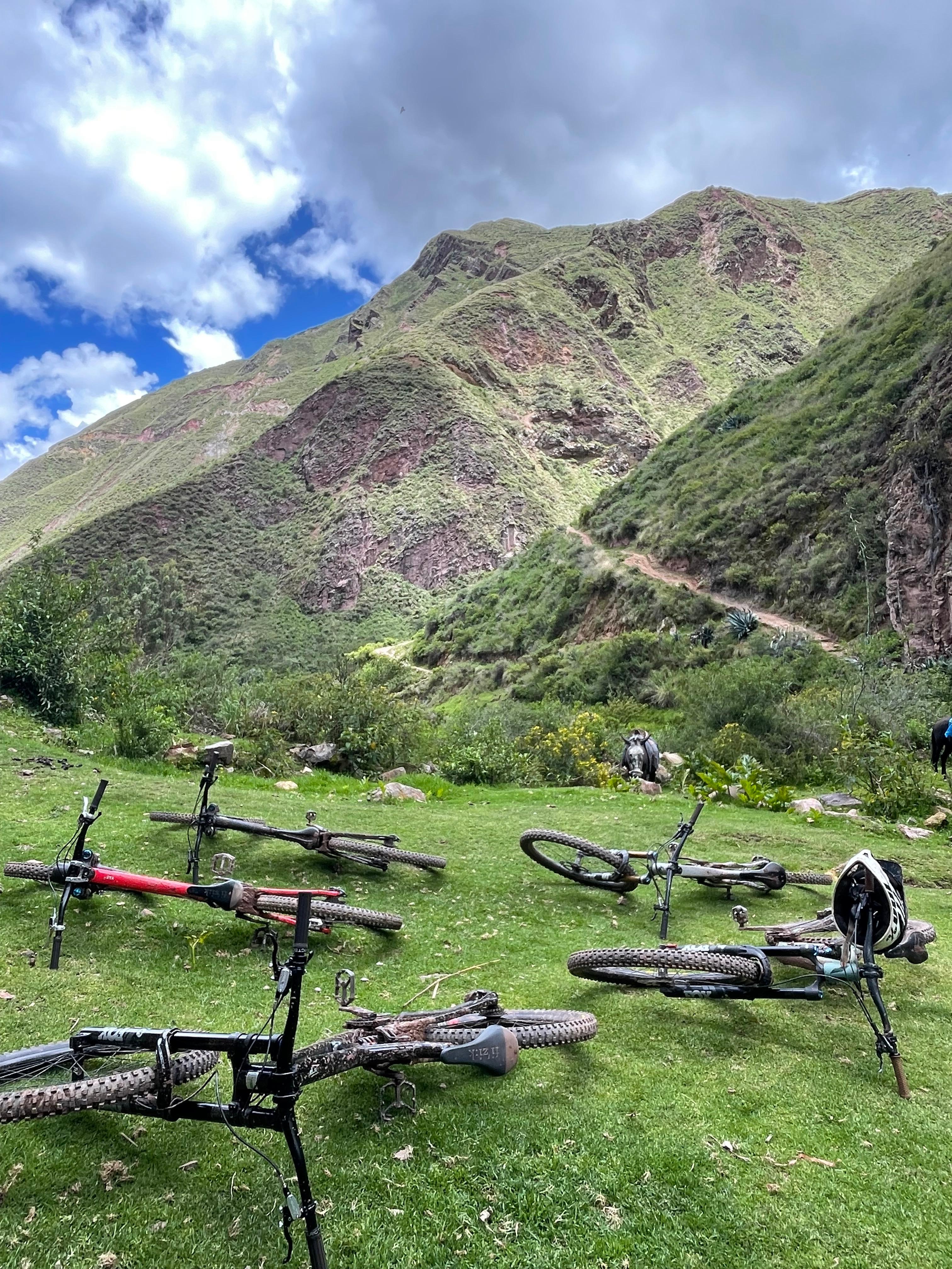 Half Day MTB Tour